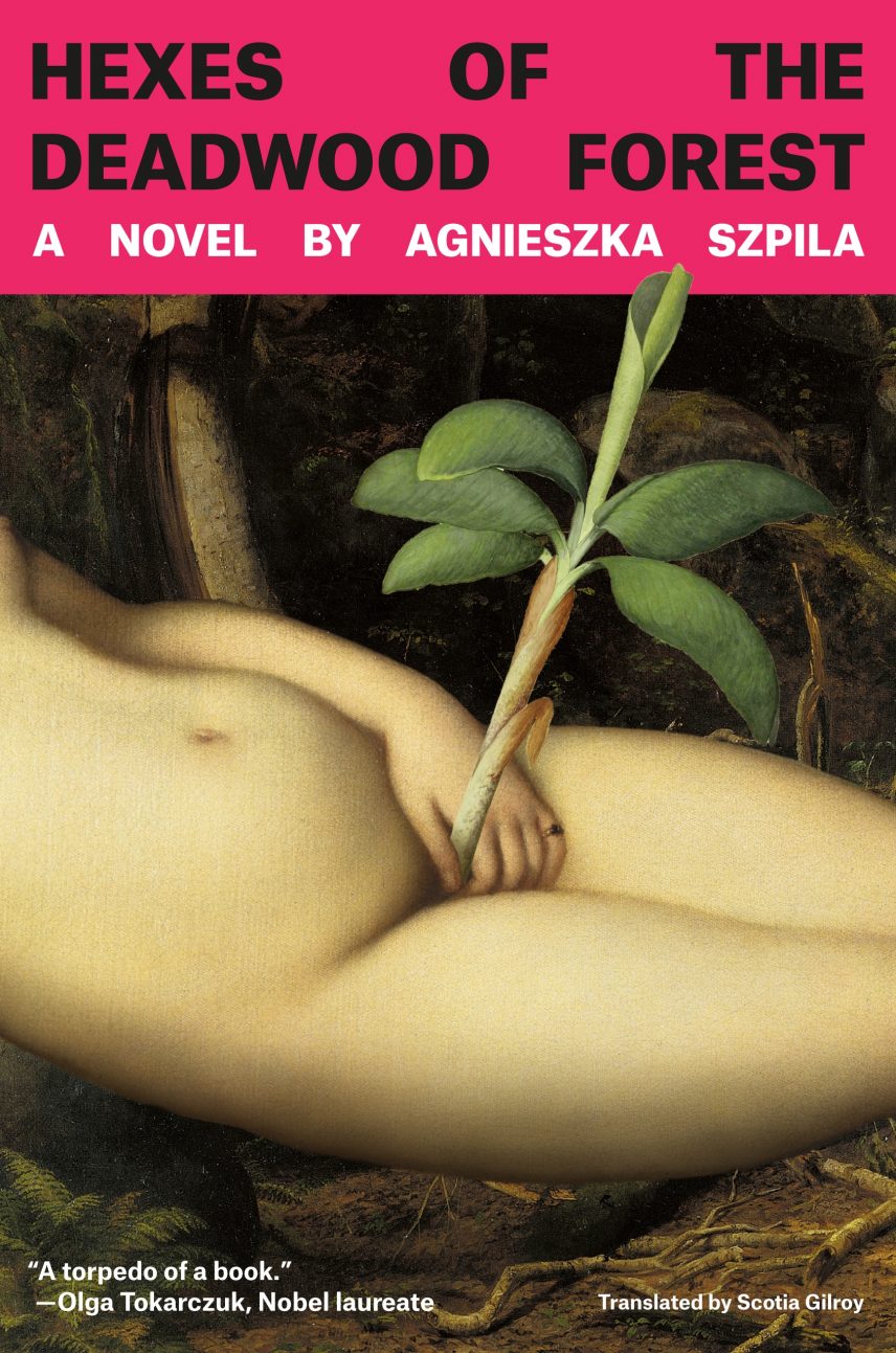 Cover: Hexes of the Deadwood Forest